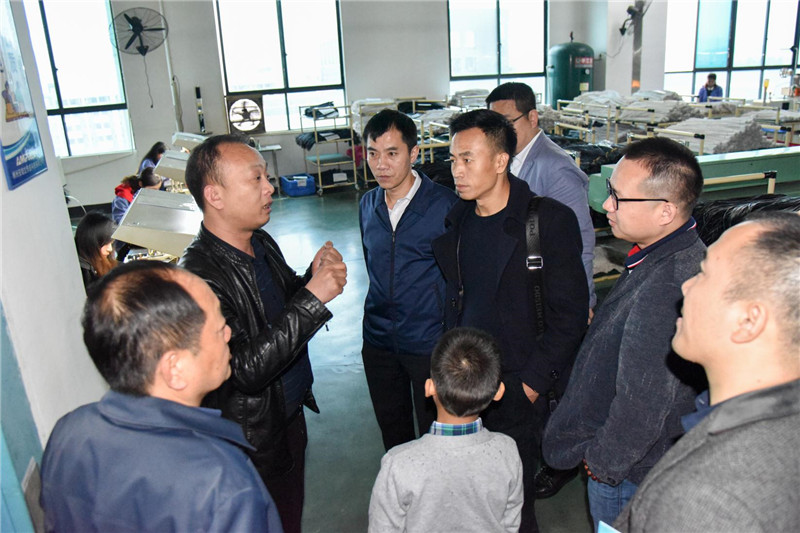 当天, 与会桂阳籍在外知名人士,商会会长,企业家还现场参观了我县部分